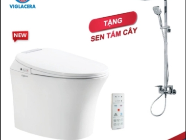 Ưu điểm của bồn cầu Viglacera bạn nên biết